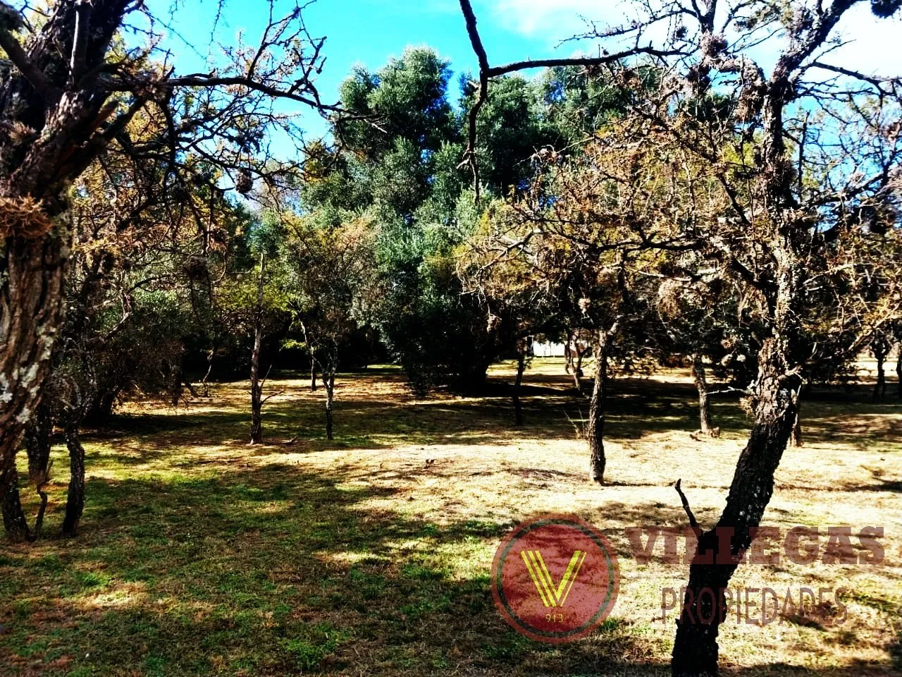 terreno-venta-nuevo-merlo-merlo-terreno-1000-m2-lote-2-venta
