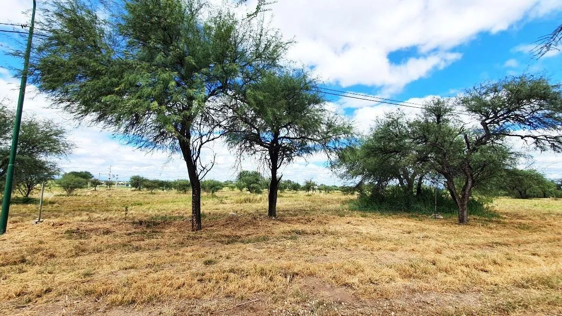 terreno-venta-algarrobo-abuelo-merlo-terreno-4-1000-m2-estan
