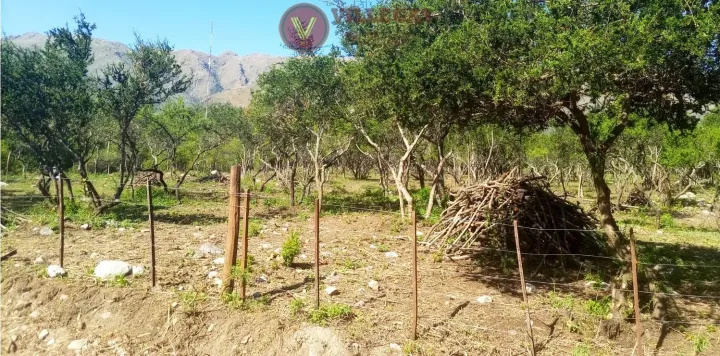 Terreno 1091 m2 LOTE Nº 15 Barrio Virgen del Tala Merlo SL